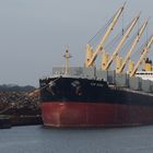 Bulk Carrier Top Wing