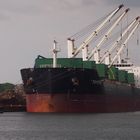 Bulk Carrier Toxotis