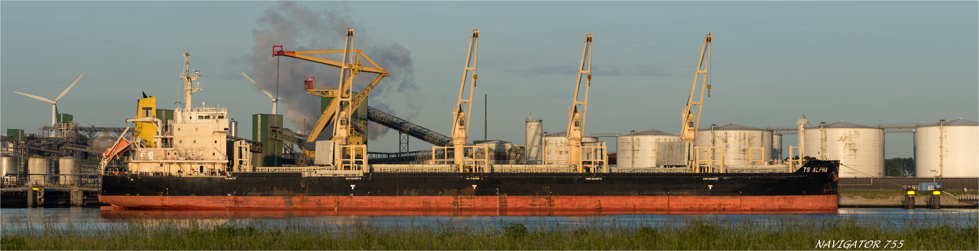 Bulk Carrier TS ALPHA, Rotterdam