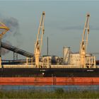 Bulk Carrier TS ALPHA, Rotterdam