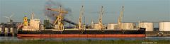 Bulk Carrier TS ALPHA, Rotterdam