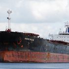 Bulker MONTE PELMO