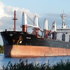 Bulker PRIVLAKA