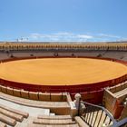 Bull fighting stadium in Seville