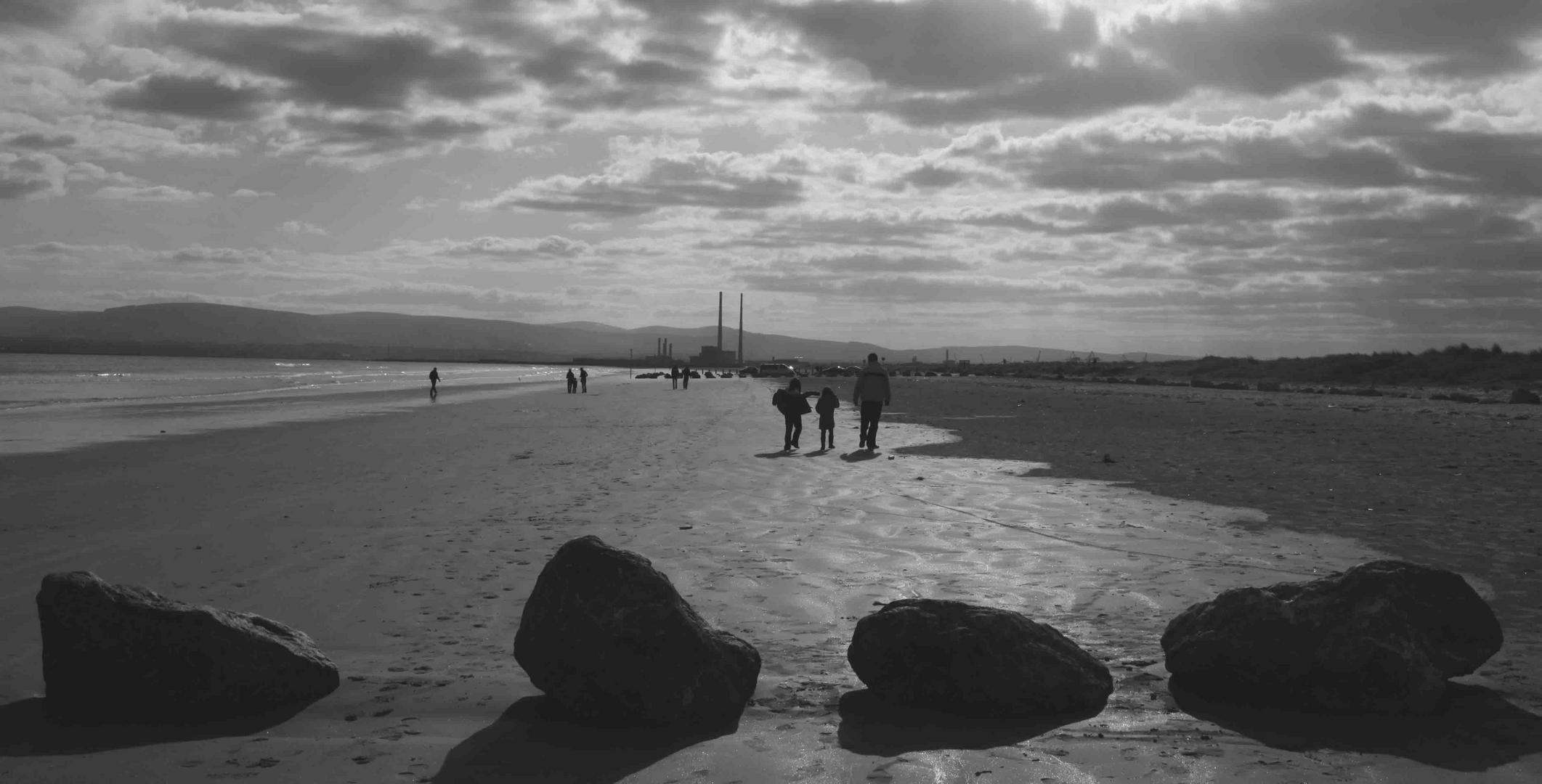 Bull Island Dublin