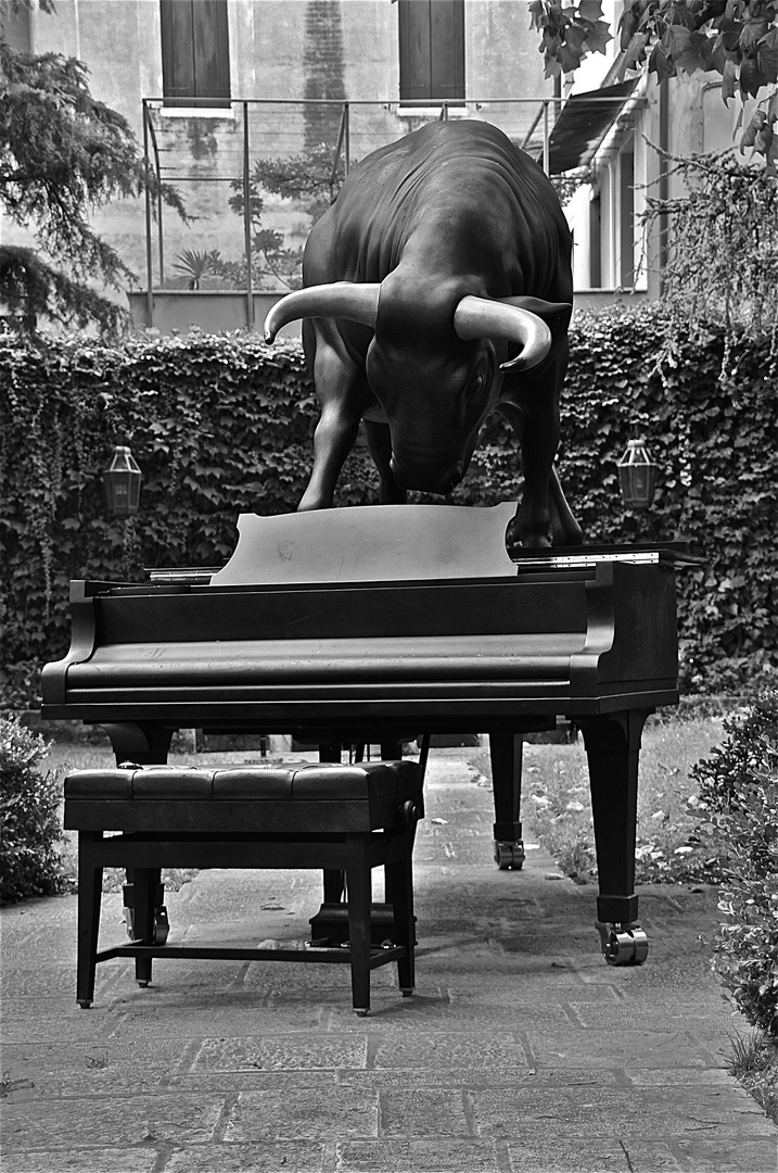 bull on piano