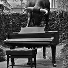 bull on piano