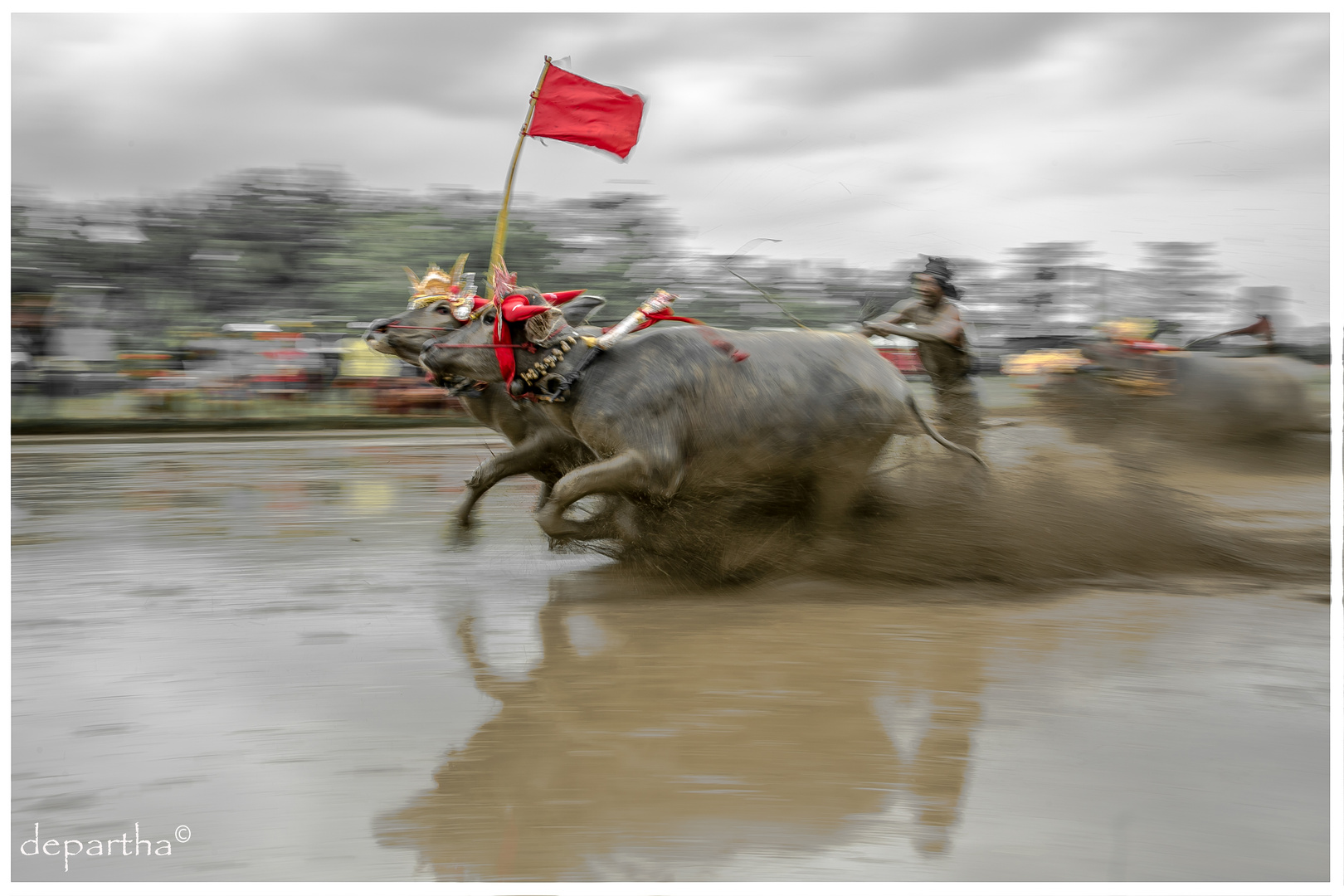 Bull Racing II