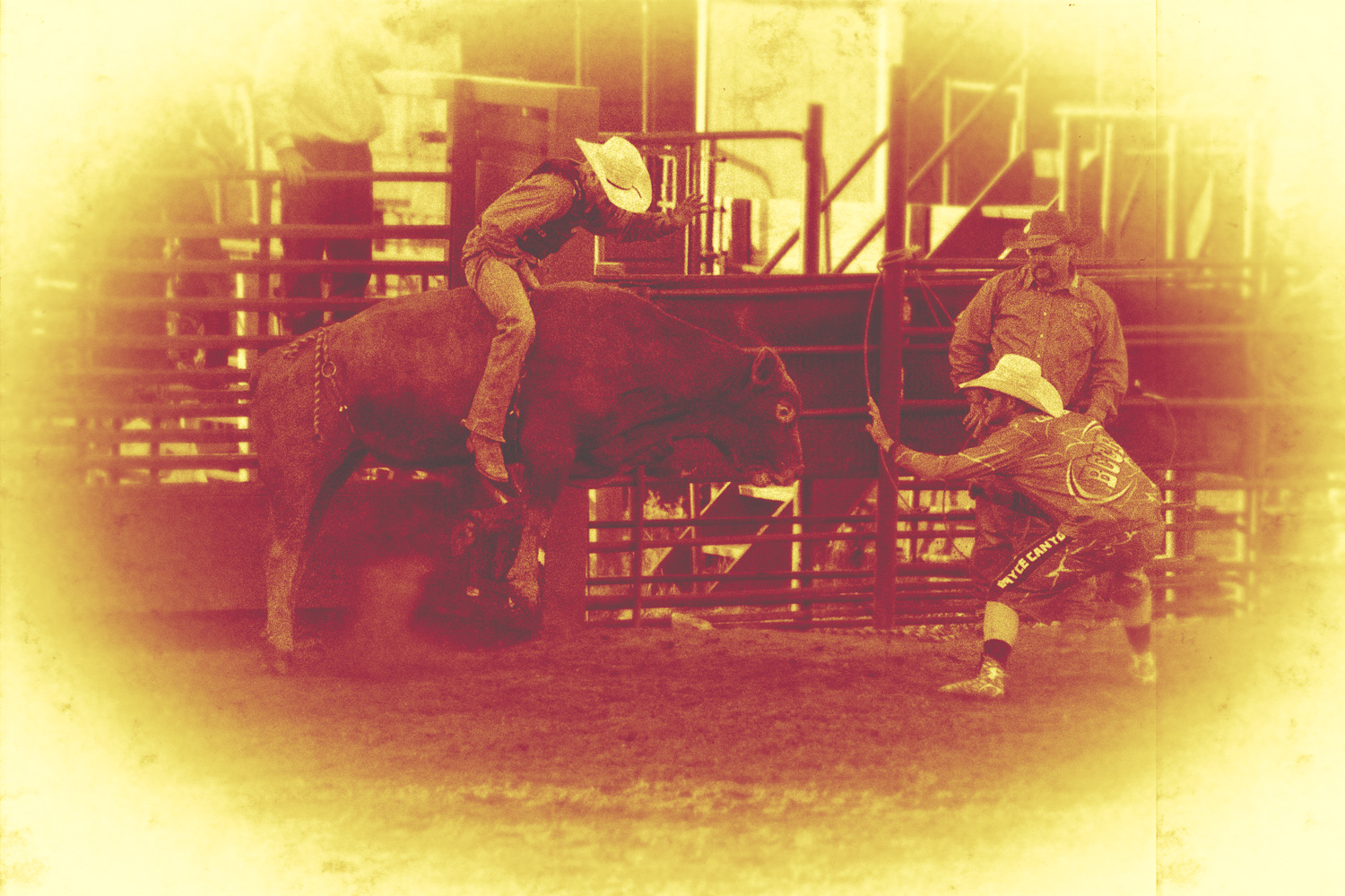 Bull-riding