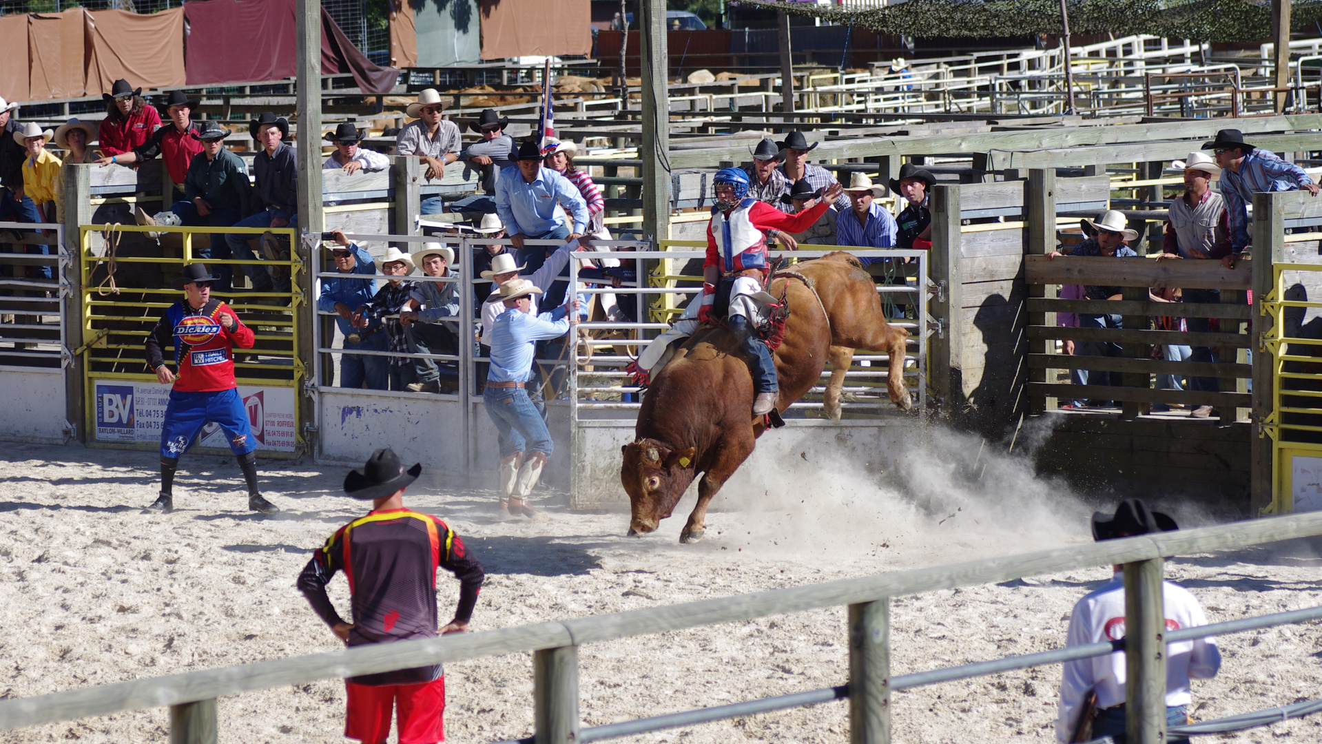 Bull Riding