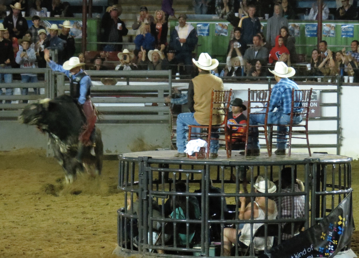 bull riding