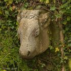 Bull stone work