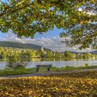 Bullay Mosel im Herbst