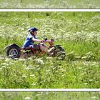 Bullcart-Fahrer in Lenggries (Bayern)