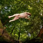 Bulldogjump