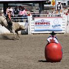 Bulle und Mensch beim Rodeo