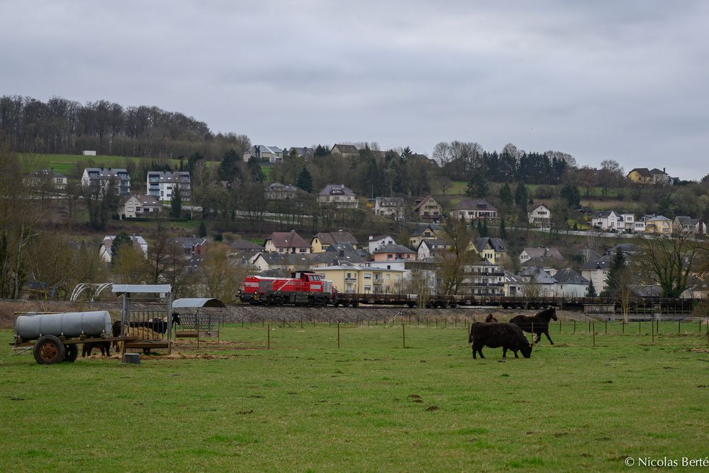 Bullen und Pferdestärken