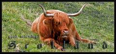 - "Bullenhitze" - in Schottland -