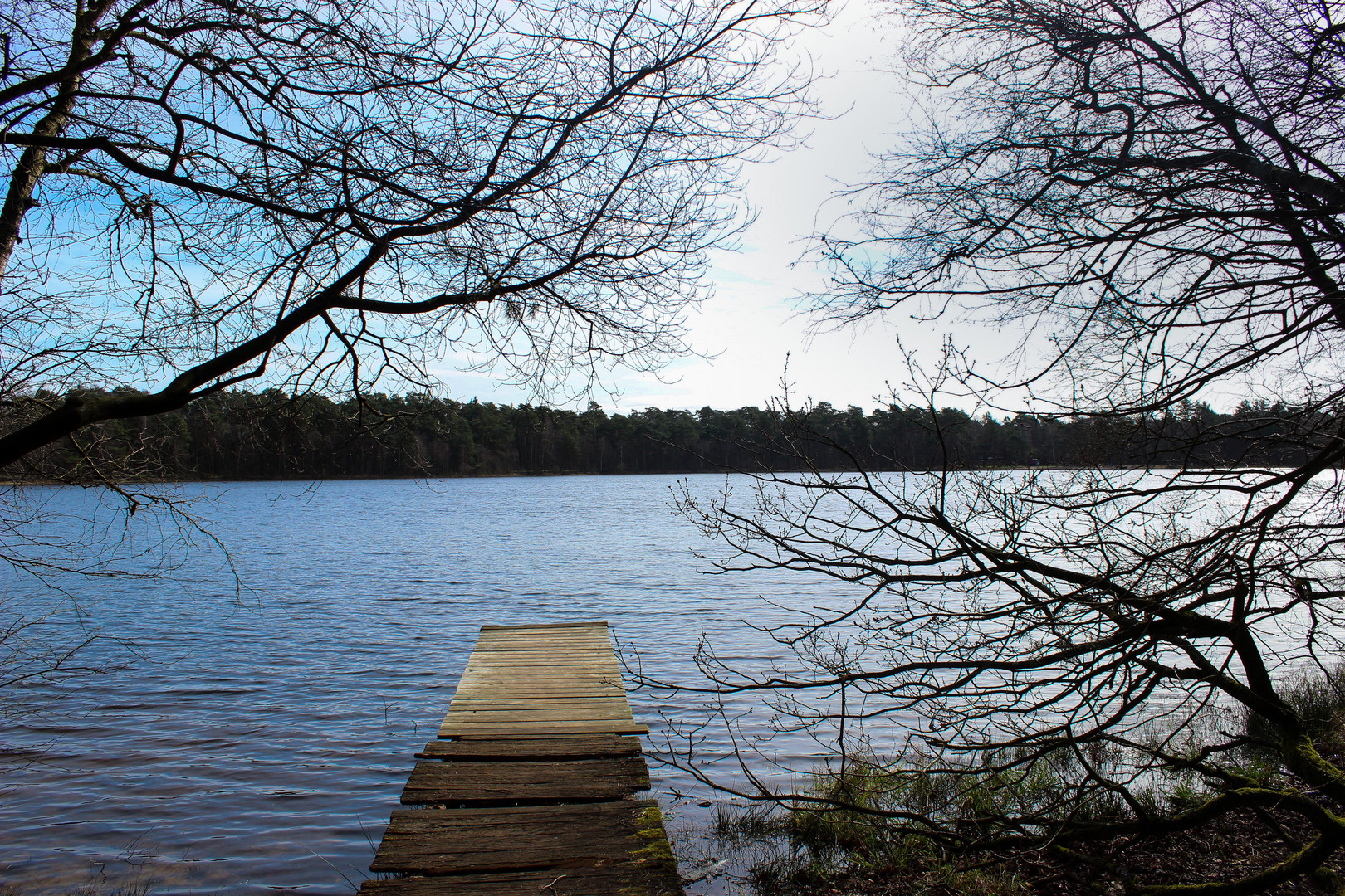 Bullensee (ROW)