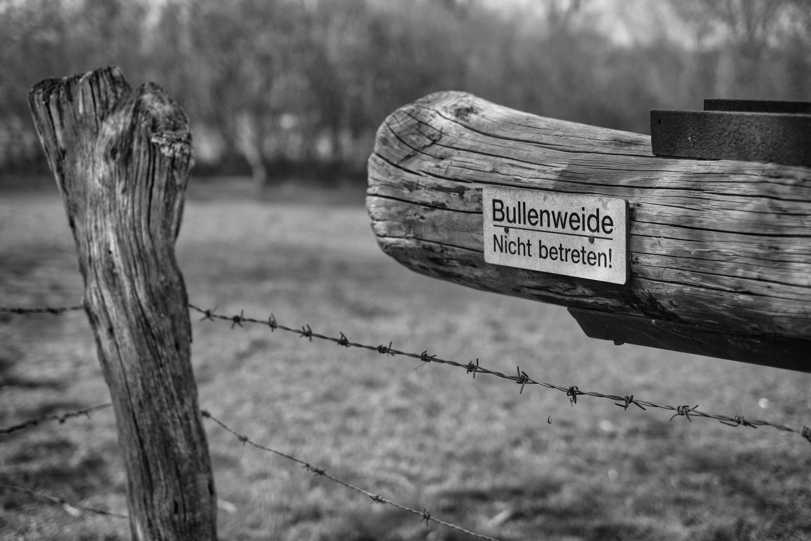 Bullenweide 