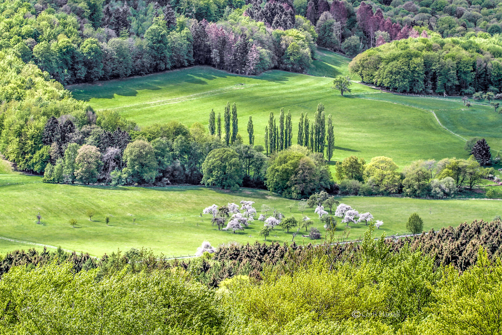 Bullenwiese Foto & Bild landschaft, lebensräume, siebengebirge Bilder