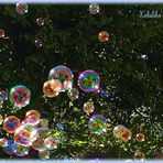 BULLES