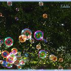 BULLES