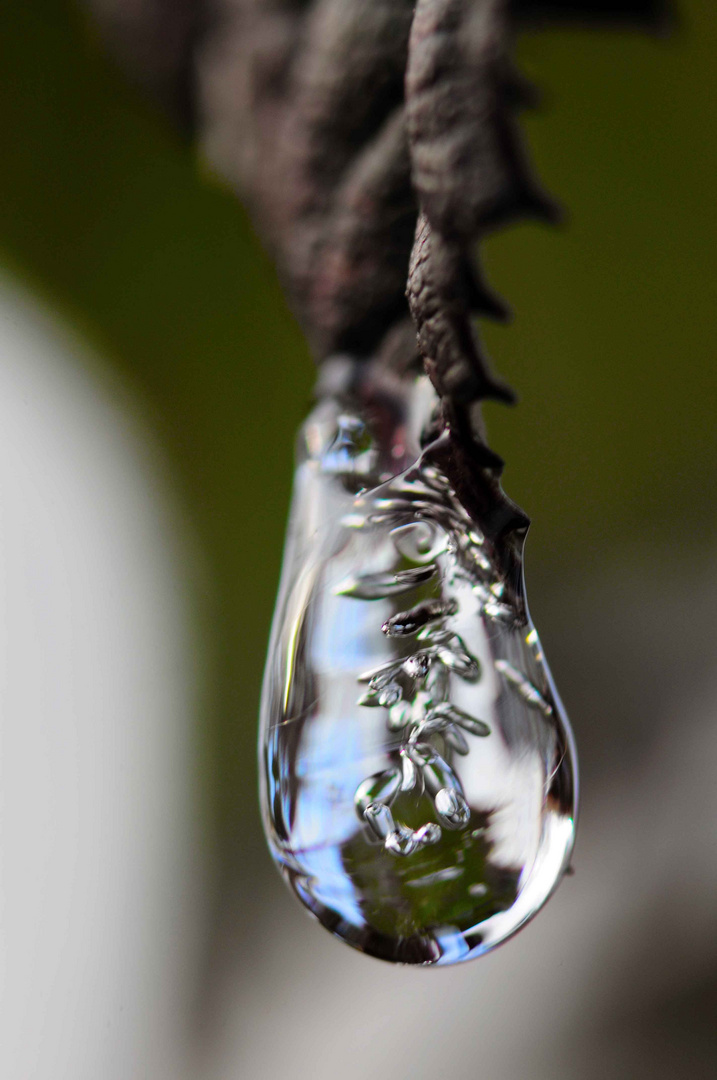 "bulles d'argent liquide dans cette goutte de glace"