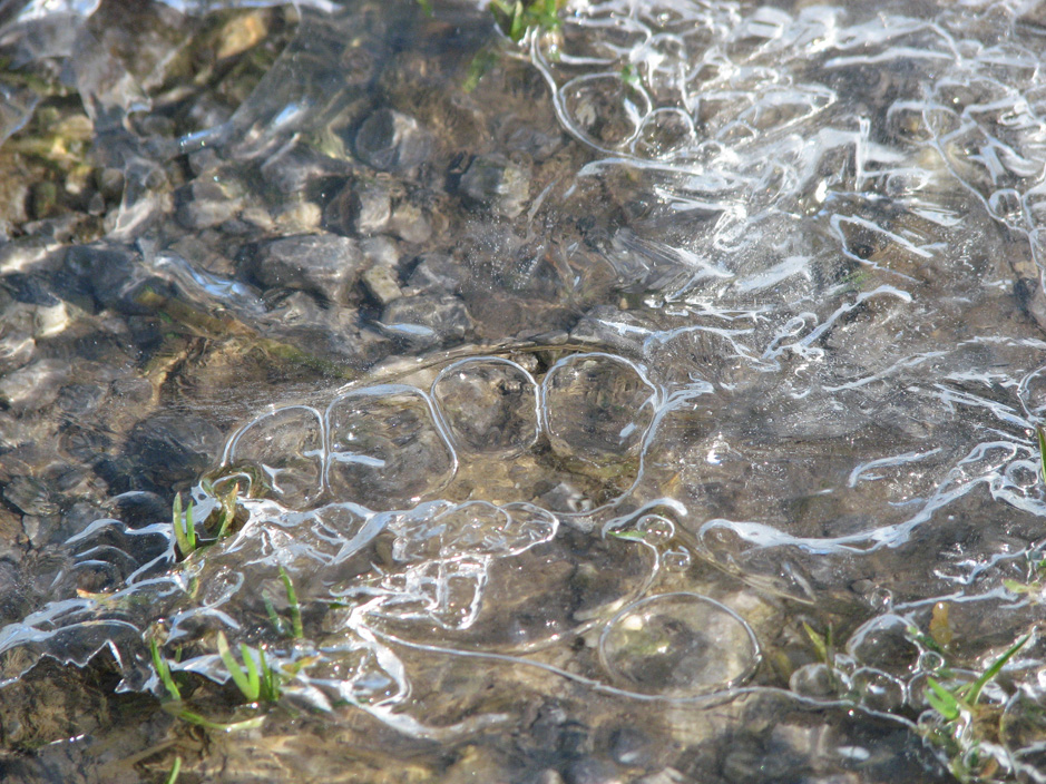 Bulles d'eau