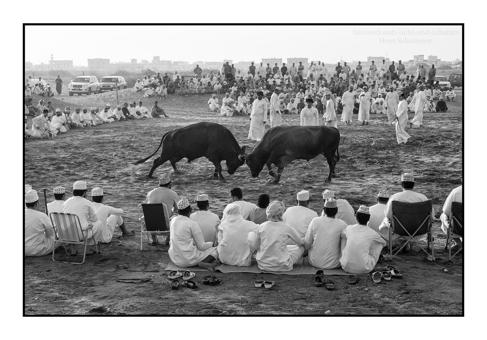 Bullfight - Das Duell