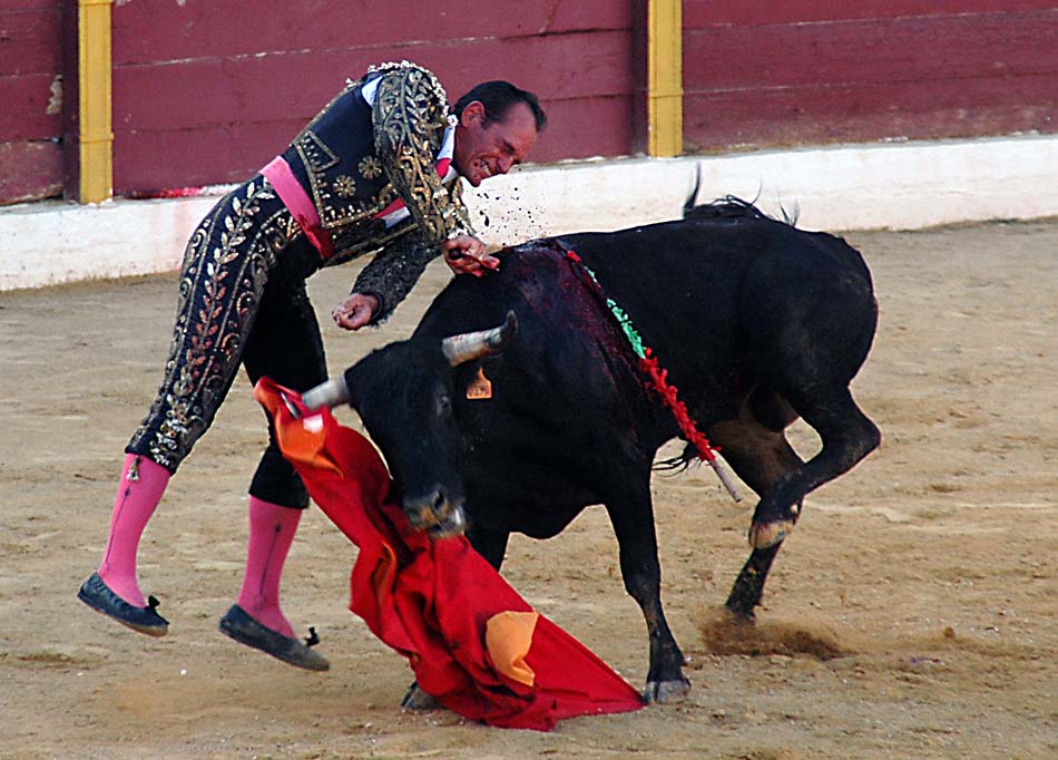 Bullfight