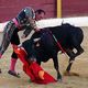 Bullfight