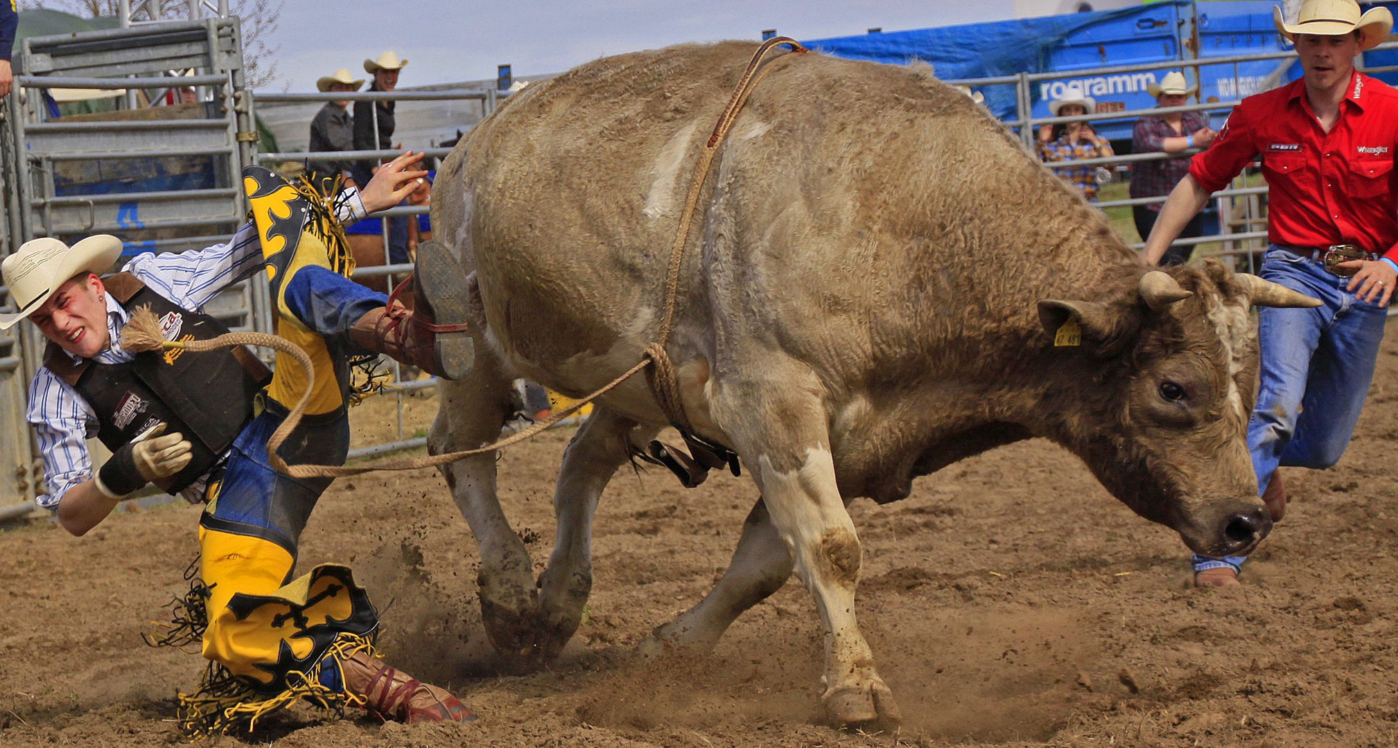 Bullraiding Griesheim