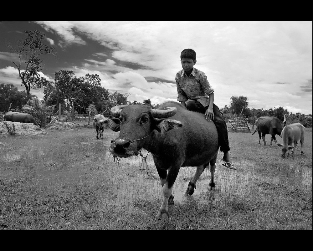 Bullriding