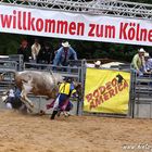 *** Bullriding ***