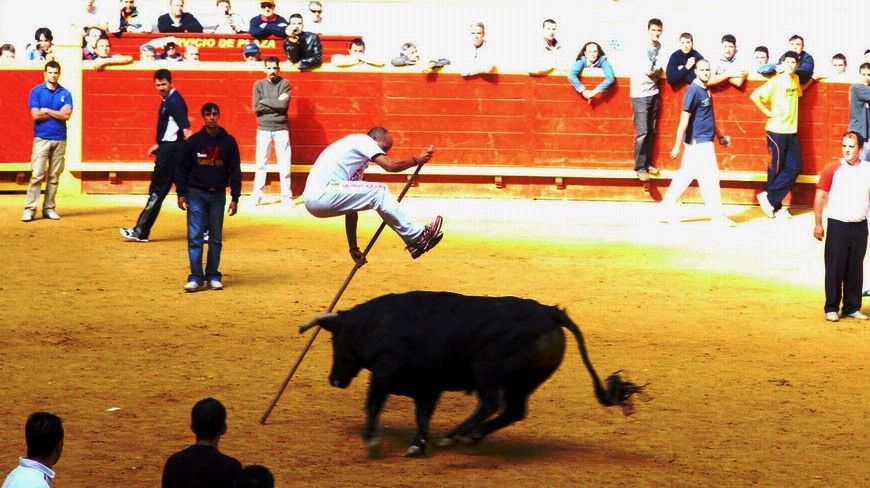 bulls jump, new olimpic contest