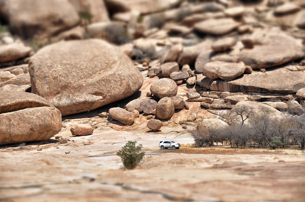 Bulls Party - Namibia