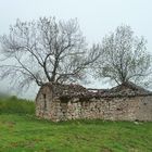 BULNES