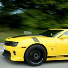 Bumblebee