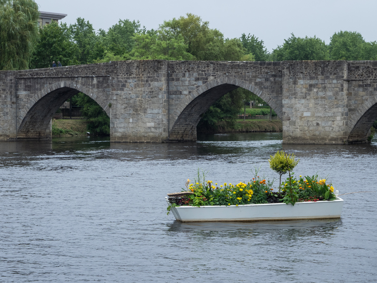 Bumenbeet in der Vienne