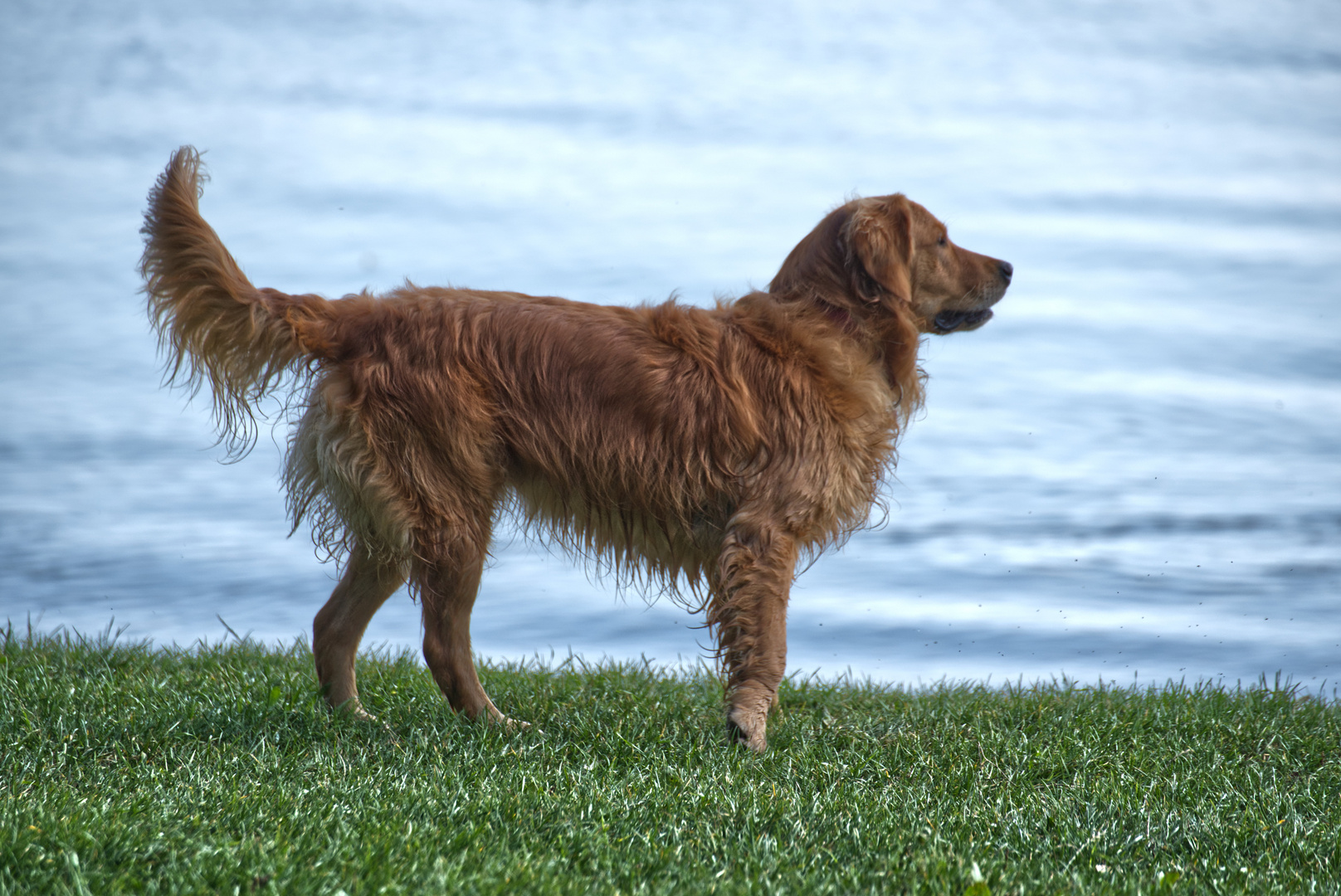 Bummel am Bodensee