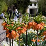 Bummeln im Park