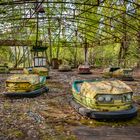 ~ bumper car ride ~