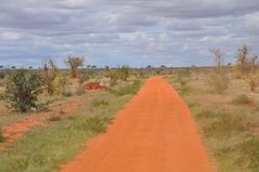 Bumpy Road