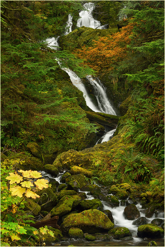 Bunch Falls II