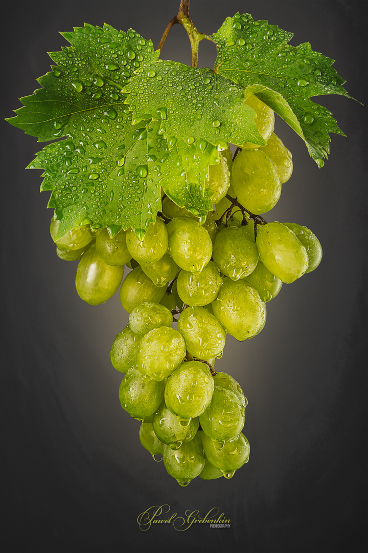 Bunch of green grapes with water droplets