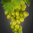 Bunch of green grapes with water droplets
