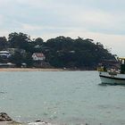 Bundeena Ferry Arrival