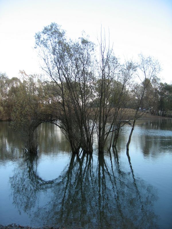 Bundek Lake