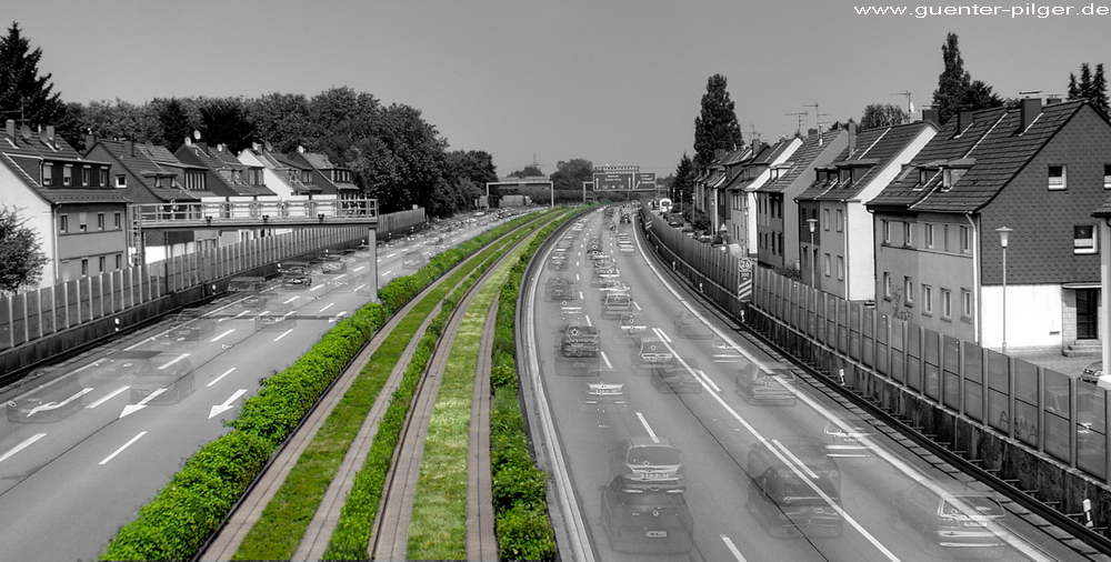 Bundesautobahnbegleitgrün